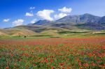 Canto di rinascita dell'Appennino