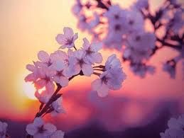 Vento di primavera