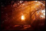 Nel Tramonto
