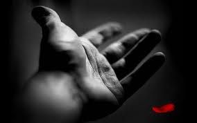 Dammi la mano