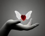 Shhh! parla il cuore  