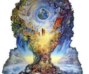 L’albero e le sue radici