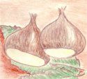 castagne