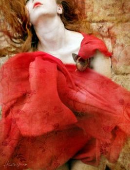 Le rose  