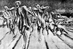Urlo di memoria! Ravensbr�ck: Campo di concentramento per solo donne!