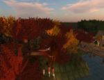 Torna L�autunno!