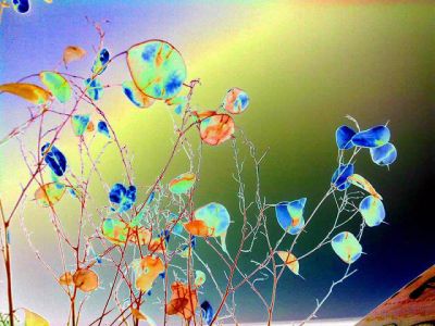 Gocce di luce