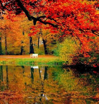 Autunno 1