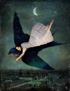 Solo sogni