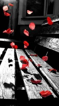 Autunno 8