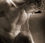 Il canto dei gabbiani