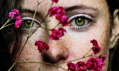 Luce