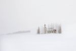 Come neve
