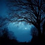 Il Lume