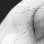 La Nebbia