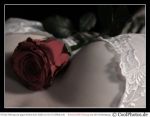 Luglio  