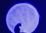 Di una notte silenziosa