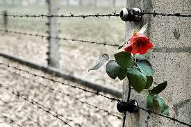 Auschwitz  