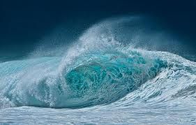 Nel mare... le origini