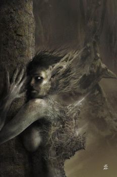 Tenebre