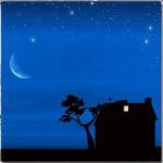 Magica notte