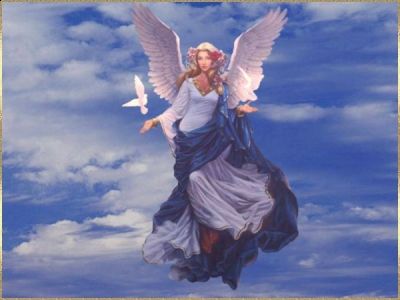 Tra terra e cielo