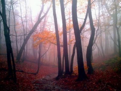 Ascolto in silenzio