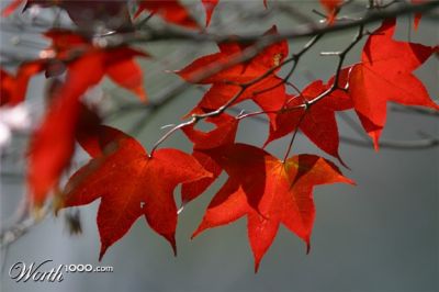 L�orizzonte rosso