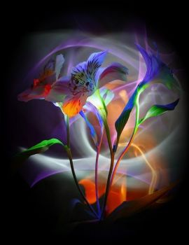 Fiori d’acciaio