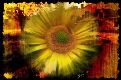 Nel sole