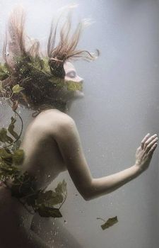 D�acqua verde