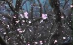 Il paese delle rose selvatiche