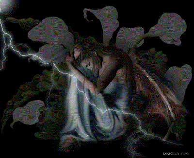 Senza Aurora
