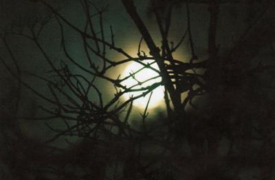 A colpi distratti di luna e di coltello