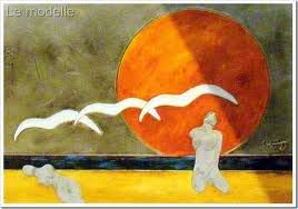 Come volo