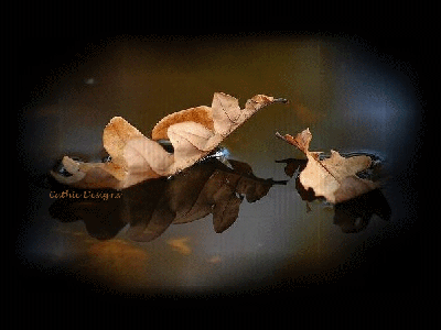 Carezza d'autunno