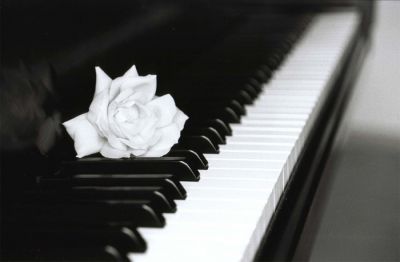 Concerto d'amore