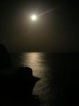 Sogni in libert�  