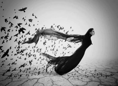 The flight of a butterfly
