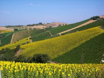 Risposte di primavera