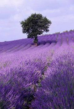 Poesia quasi d’Amore (ad un figlio...)