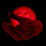 Quest'Amore