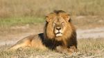 Cecil