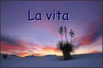 Temporale amico