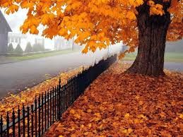Un giorno qualunque d'ottobre