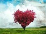 L�et� del non dolore