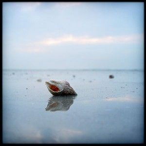 Lettera a nessun destinatario