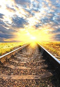 La carcassa al sole  