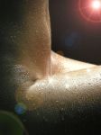 L'insofferenza d'una falena  