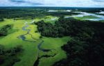 Amazonia